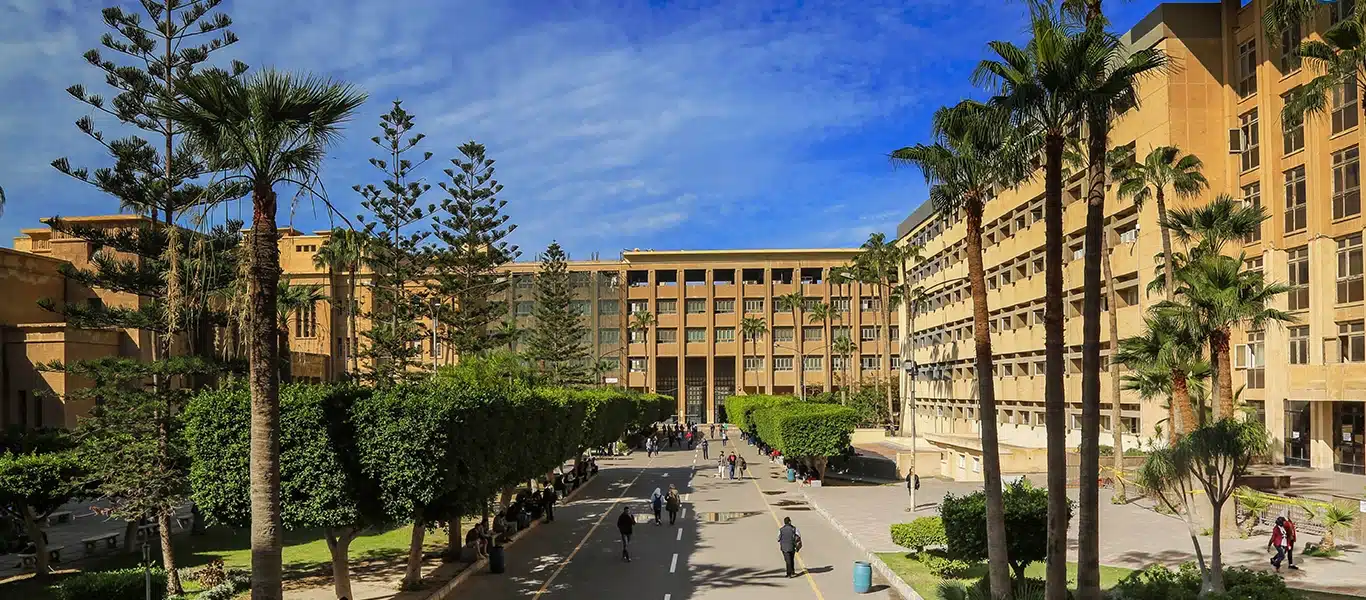 جامعة الإسكندرية 2